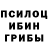 Галлюциногенные грибы Psilocybine cubensis don nong