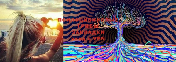 мдма Горно-Алтайск