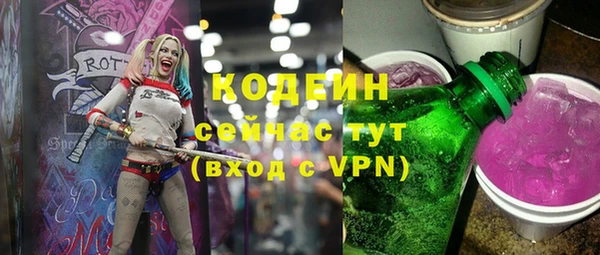 герыч Туринск