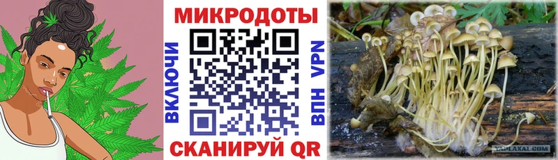 Галлюциногенные грибы прущие грибы  Купить закладки  Шлиссельбург 